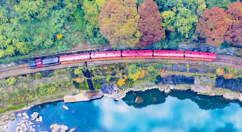 Sagano Romantic Train Guide 2026: Tickets, Routes, "Rich Car 5" & Best Seats